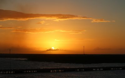 From Scarcity to Fioneering: Our Brief History with Money