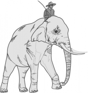 Elephant Rider Change Management