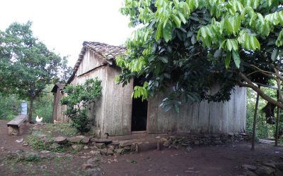 Why I Wanted to Be Poor: Debunking Scarcity