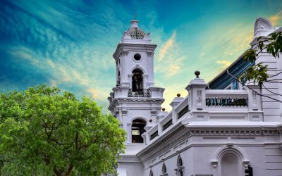 My Ideal Life: How FI Gives You Options