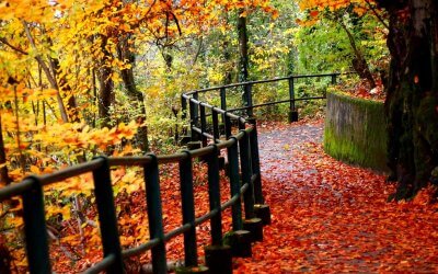 Overcoming Severe Anxiety