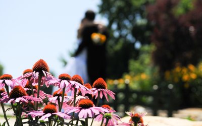 10 Frugal Wedding Ideas