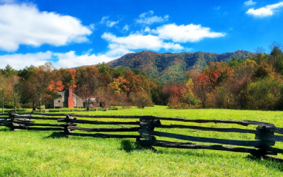 Meet the Frugalwoods Book Review