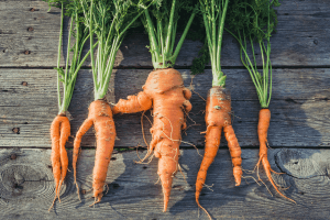 Carrots imperfect ugly