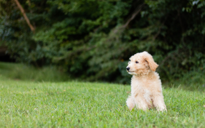 Our Best Lifestyle Inflation Decisions