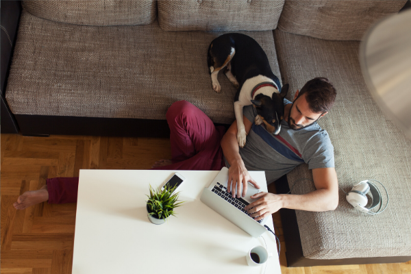 work from home dog 