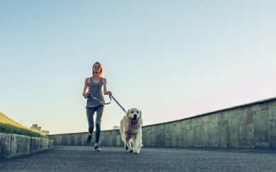 Why You Shouldn’t Ignore Active Income