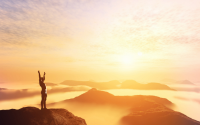 Adventures in Opting Out: A Book Review