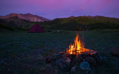 The Ultimate Guide to the FIRE Movement (Financial Independence Retire Early)