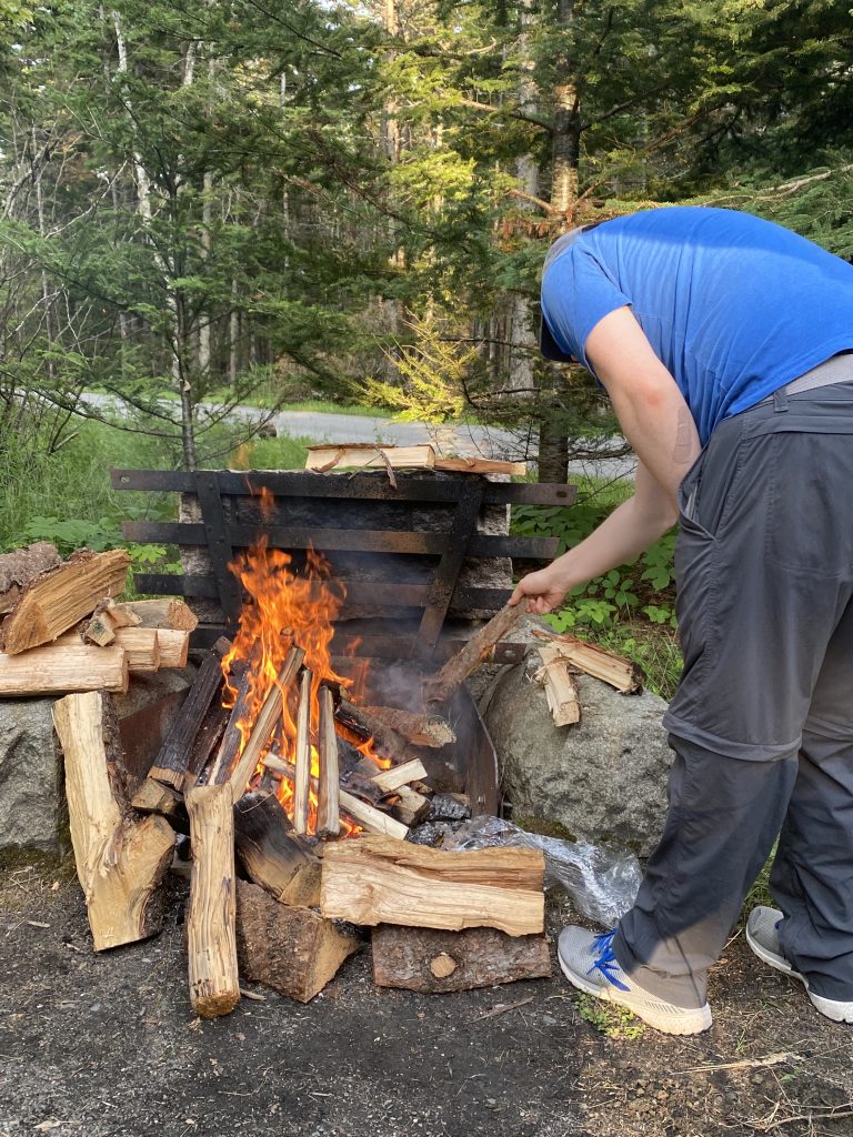 campfire wood forest