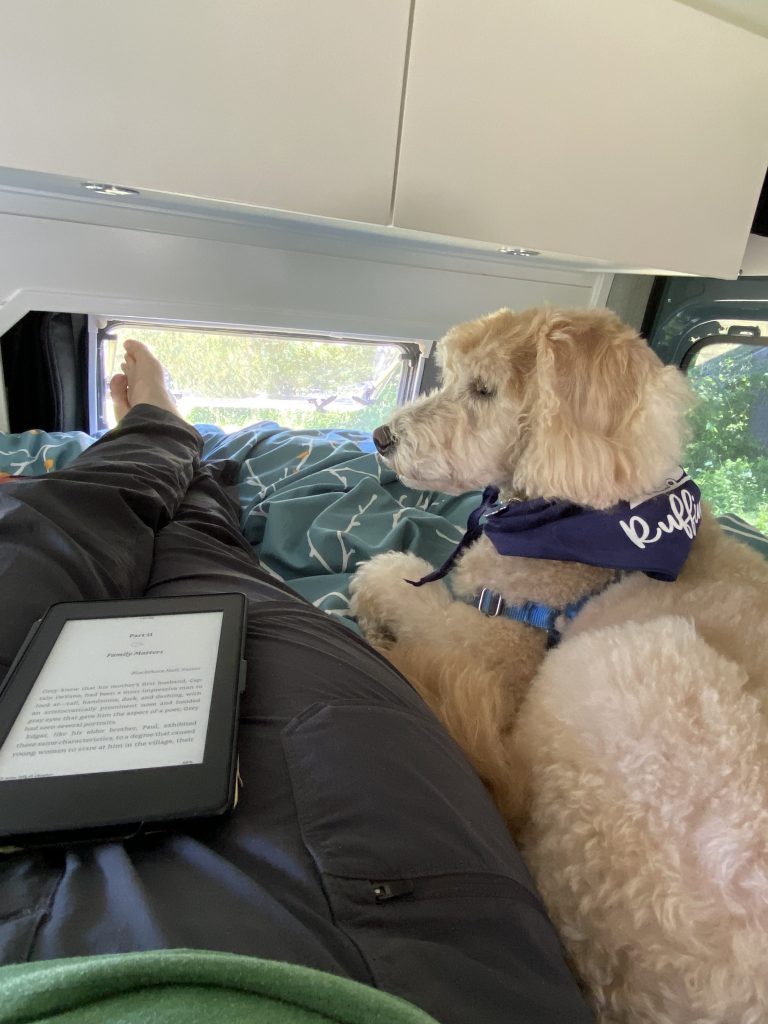 campervan relax read