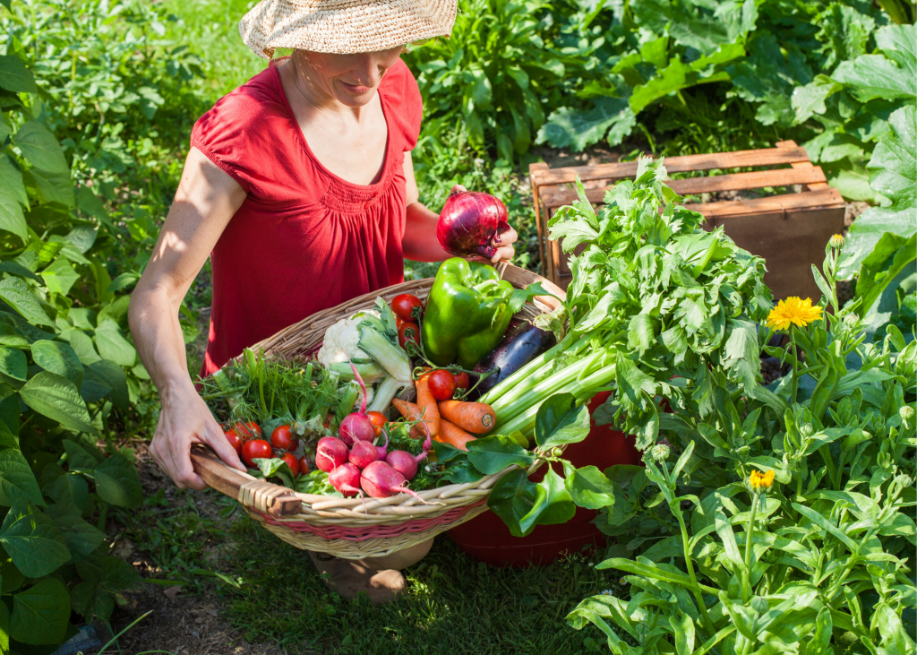 woman vegetable garden