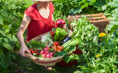 Multiple Streams of Income: The Ultimate Source of Flexibility