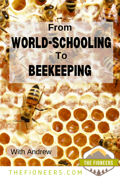 beekeeping beehive honey bees