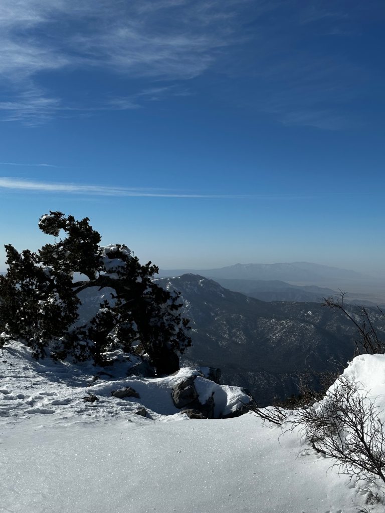 sandia crest albuquerque new mexico