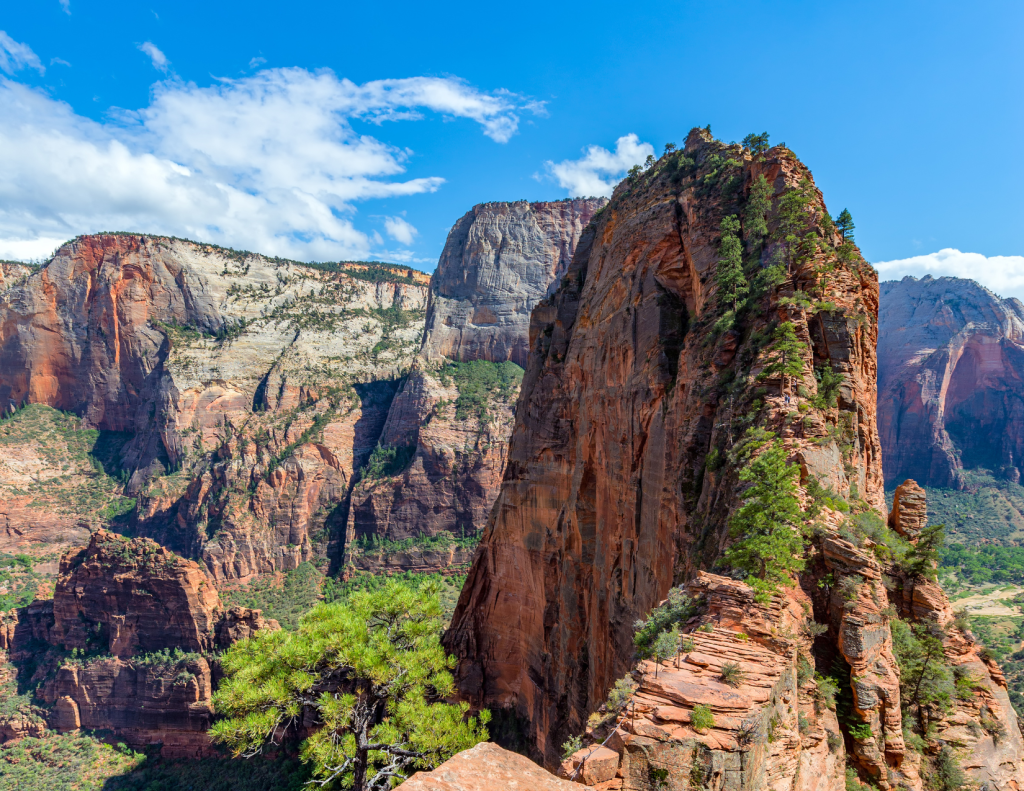 Zion angel's landing