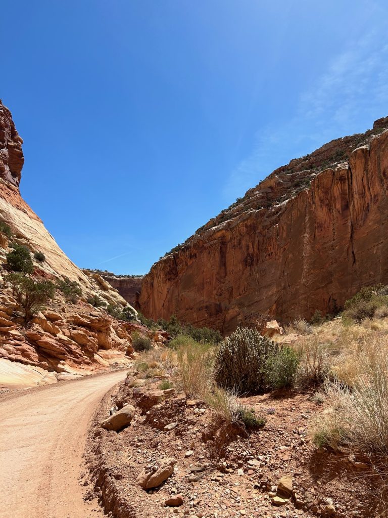 scenic drive capitol gorge