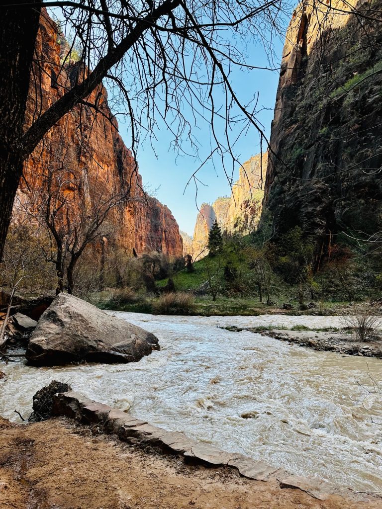 Zion national park river