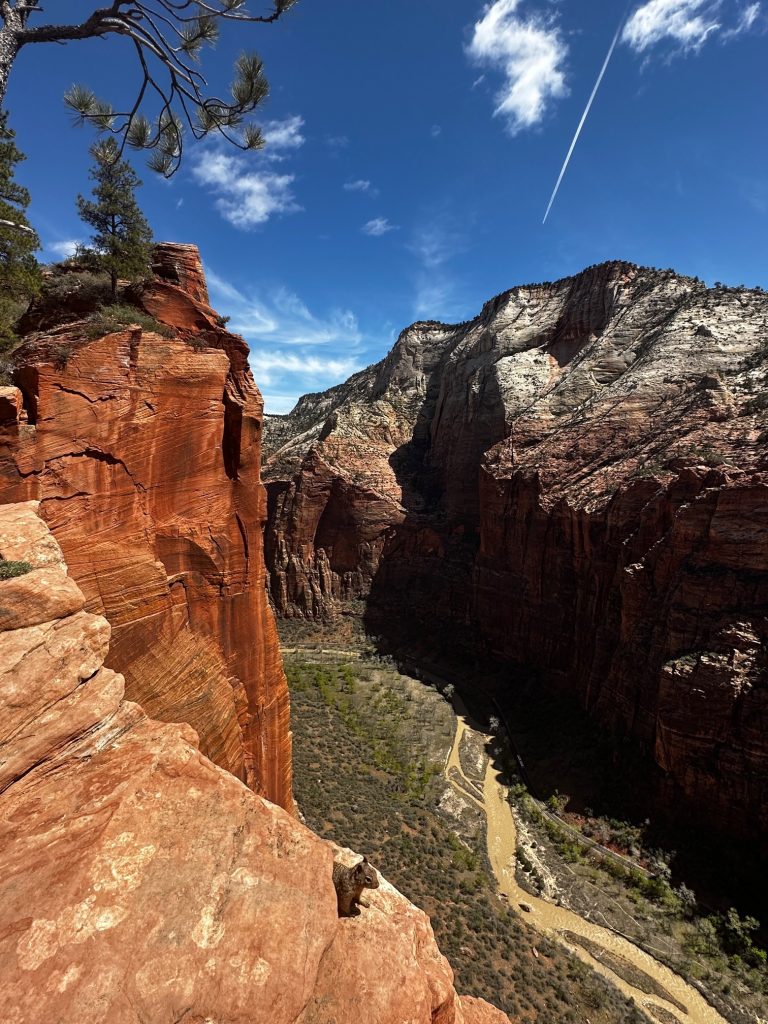 zion canyon overlook