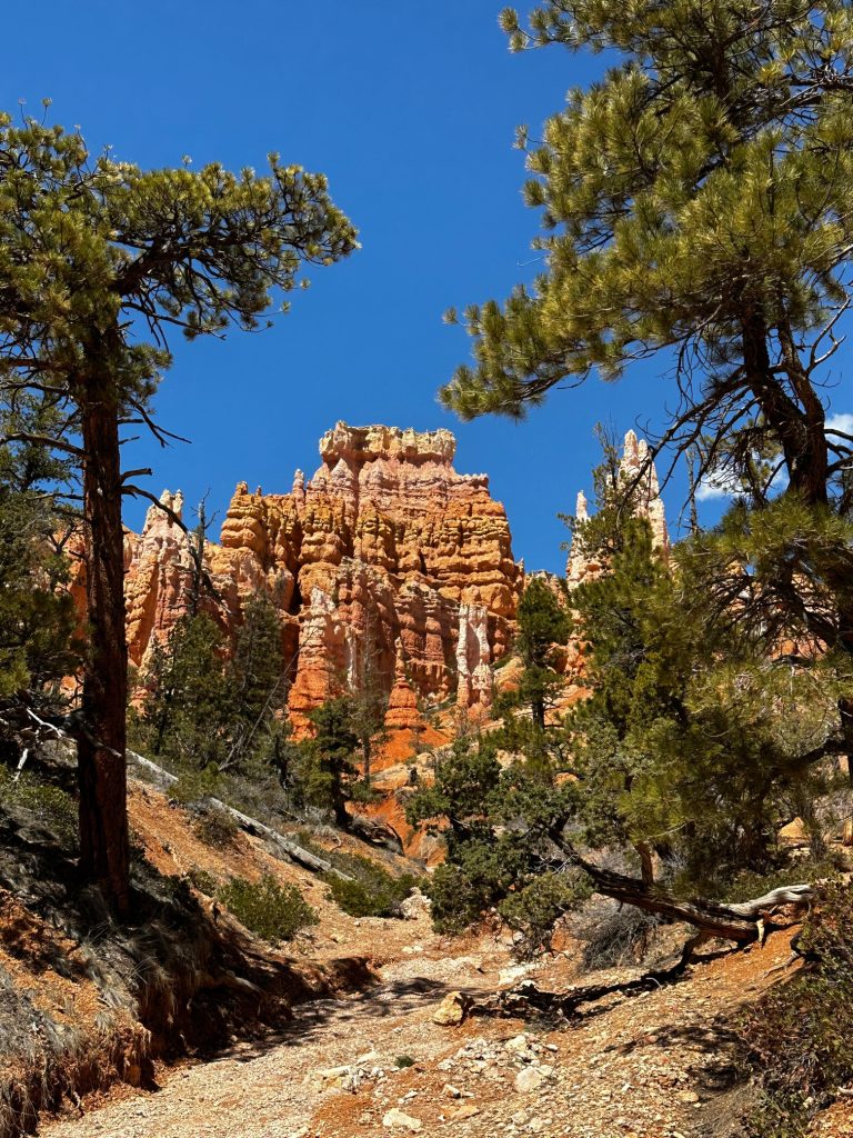 Bryce Canyon trail hike